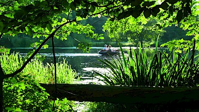 Photo 4 to Picknickparadies