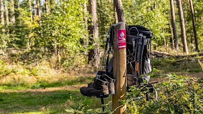 Foto 2 zu Naturpark Hohe Mark e.V.